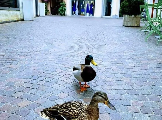 Apartman La Petite Maison *