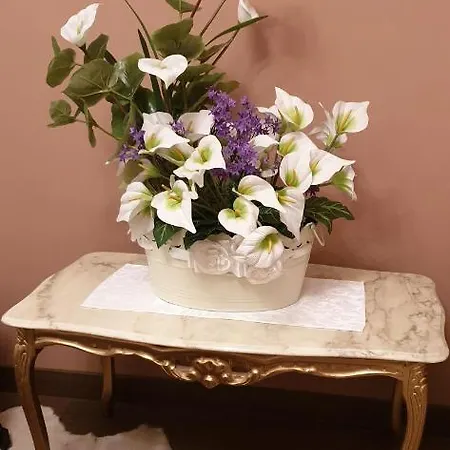 公寓 La Petite Maison 特雷维索