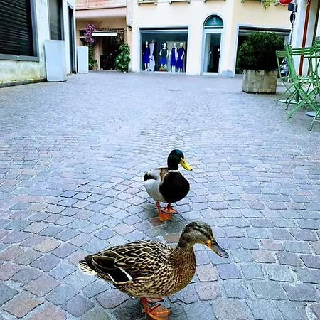 Apartmán La Petite Maison *